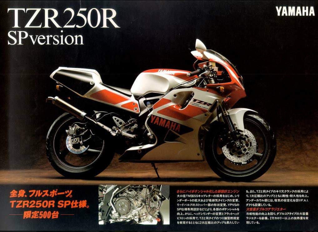 1991 Yamaha TZR250